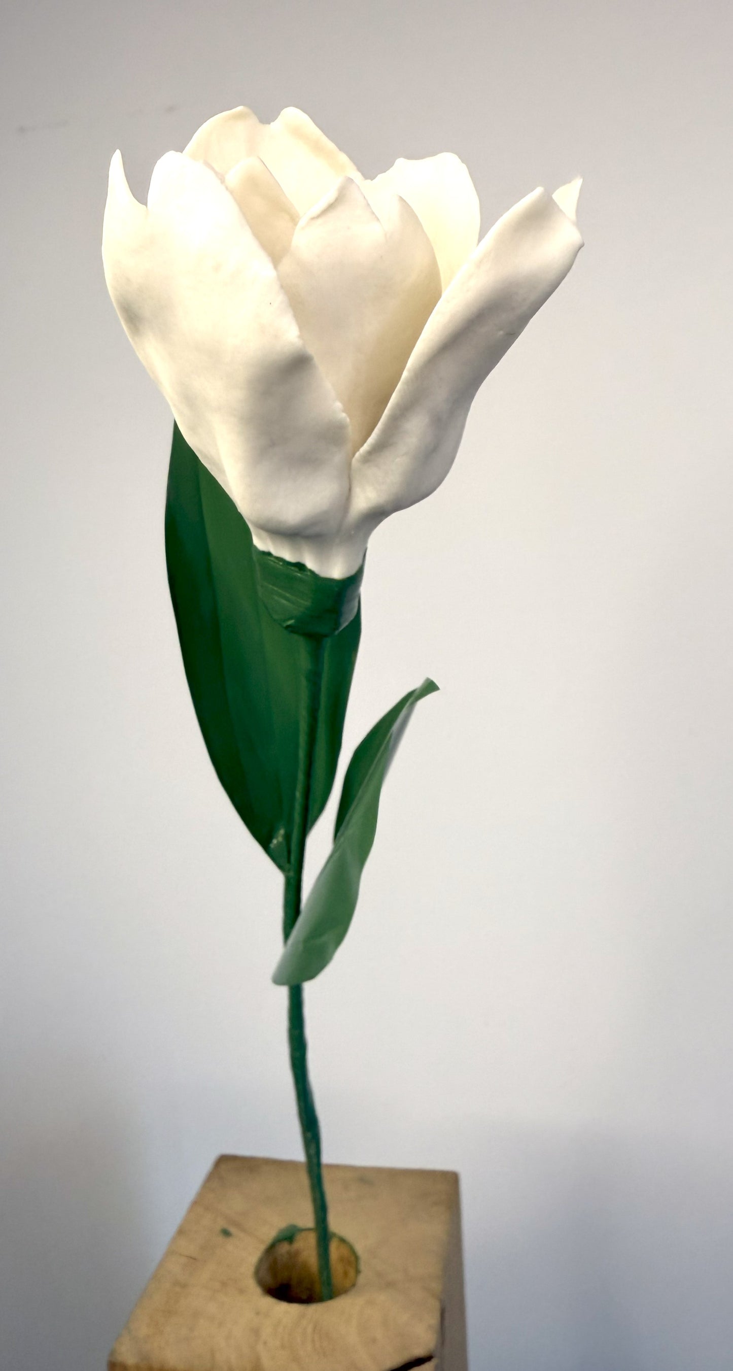 Tige de Tulipe en biscuit de porcelaine blanche, TUL-000-0-1-T