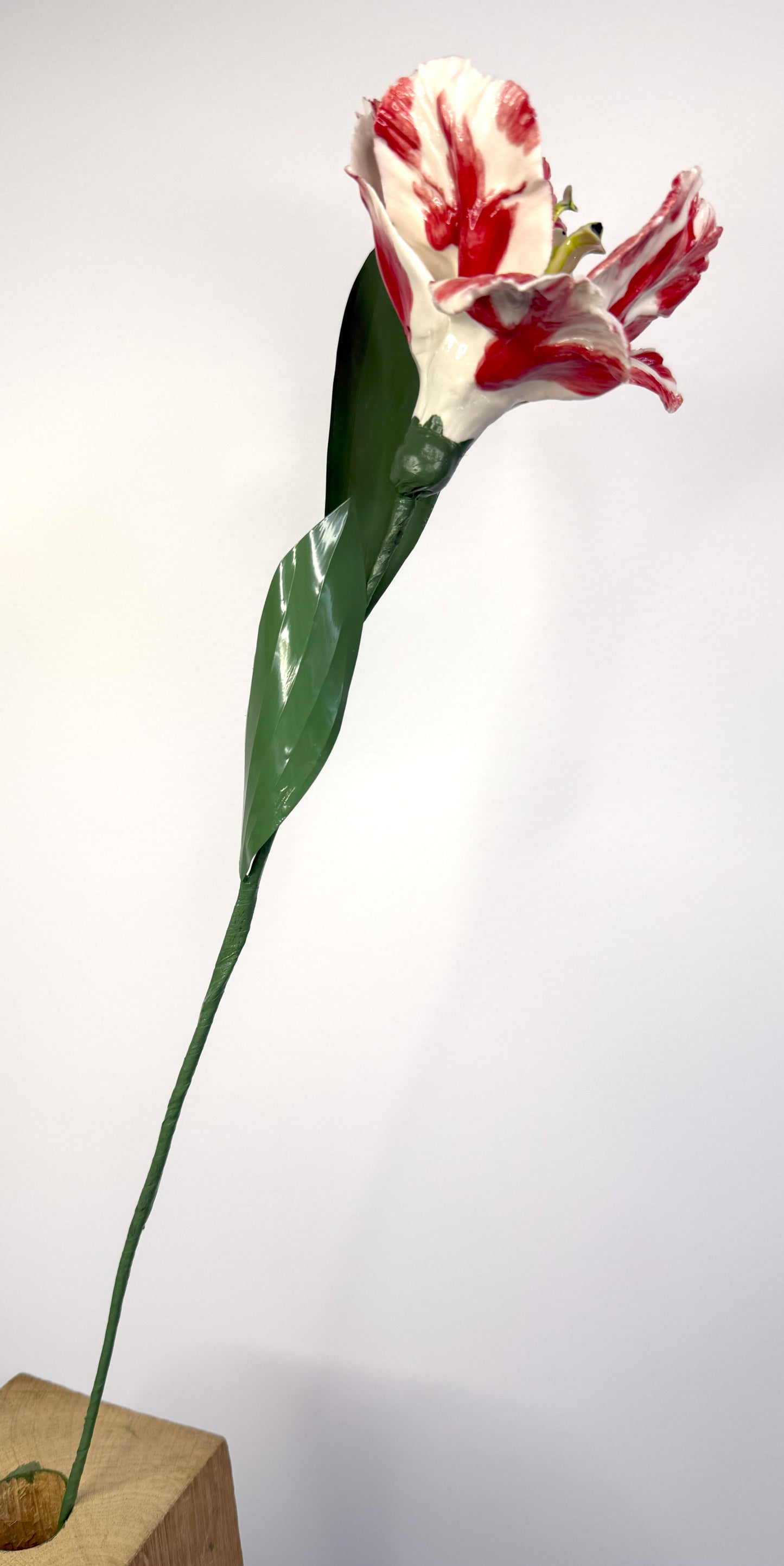 Tige de tulipe perroquet en porcelaine émaillée rouge, TPO-387-1-0-T