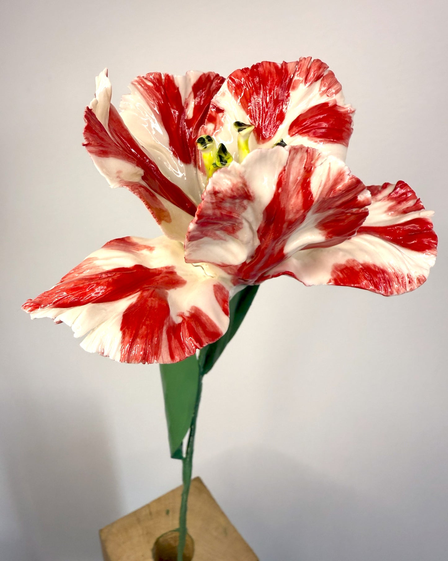 Tige de tulipe perroquet en porcelaine émaillée rouge, TPO-387-1-0-T