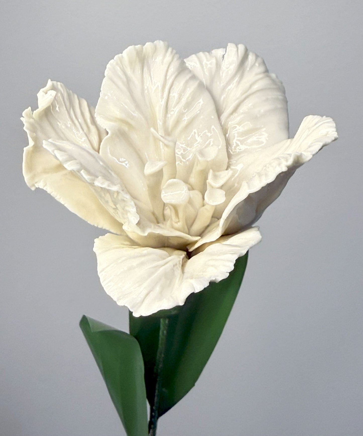 Tige de tulipe perroquet en porcelaine émaillée blanche, TPO-000-1-0-T
