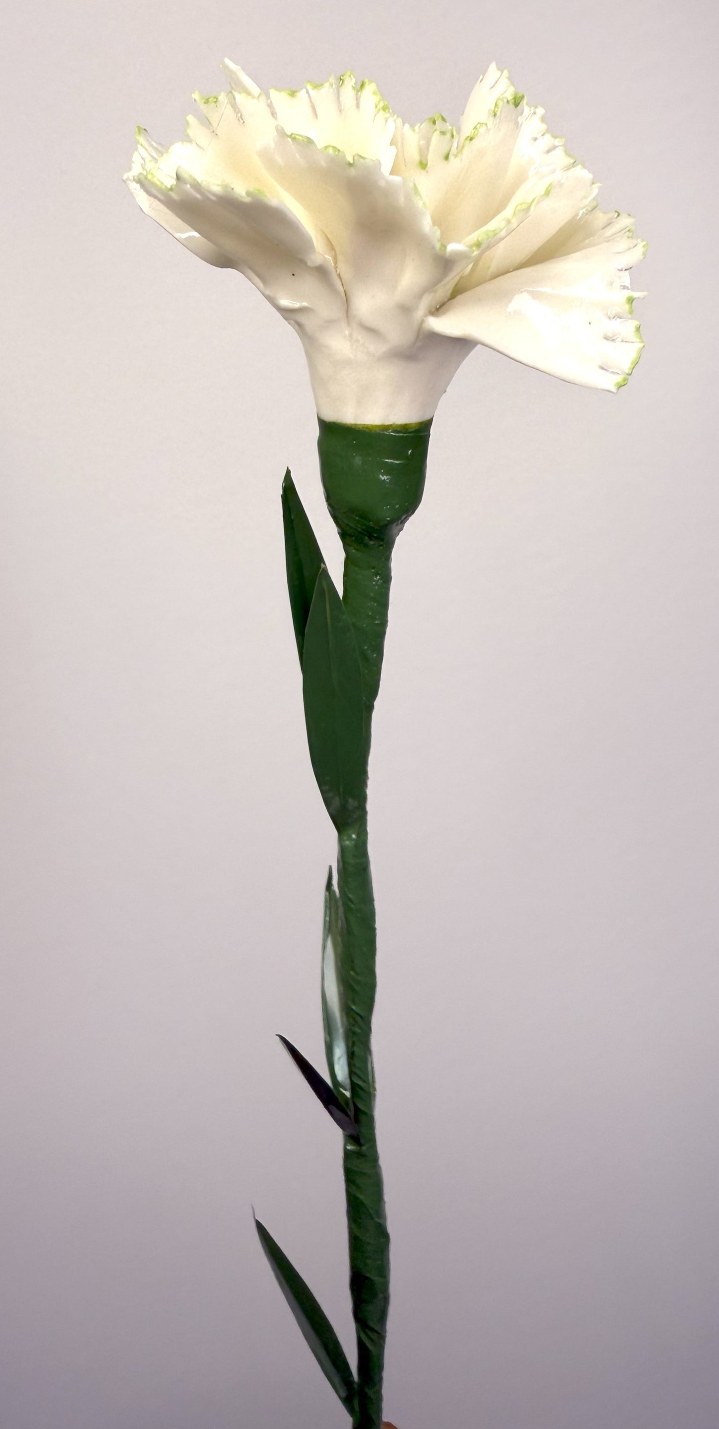Tige d'oeillet en porcelaine émaillée blanche liseré vert clair, OE-66-1-0-T