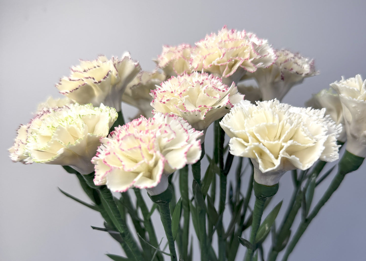 Tige d'oeillet en porcelaine émaillée liseré rose, OE-037-1-0-T