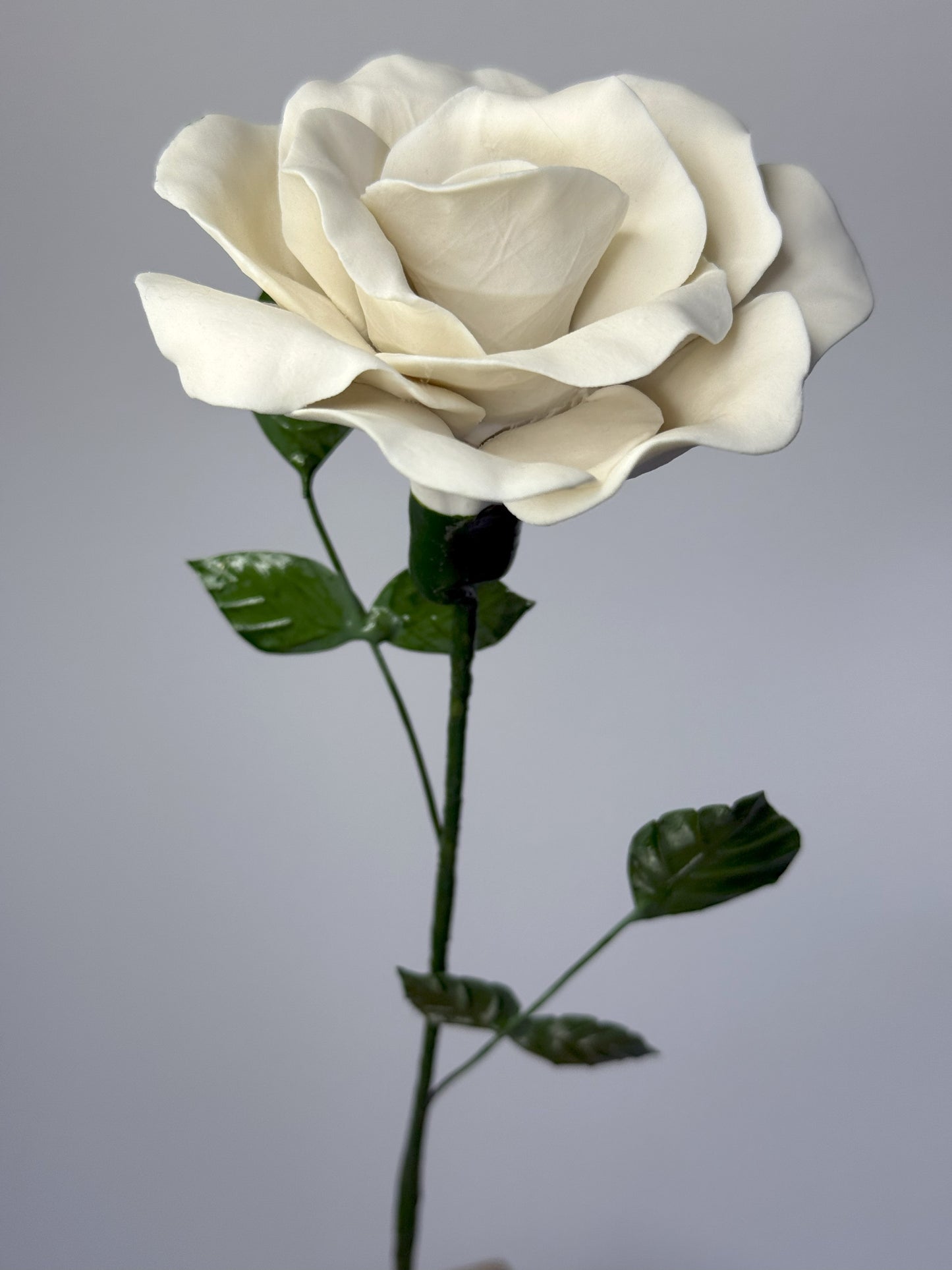 Tige de grande rose en biscuit de porcelaine blanche, GRO-000-0-1-T