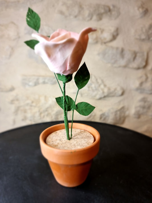 Fleur porcelaine 059