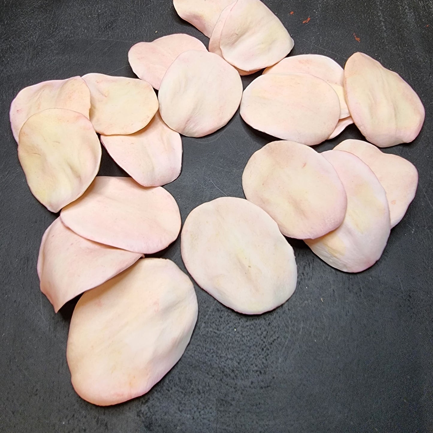 Pétales de roses en porcelaine