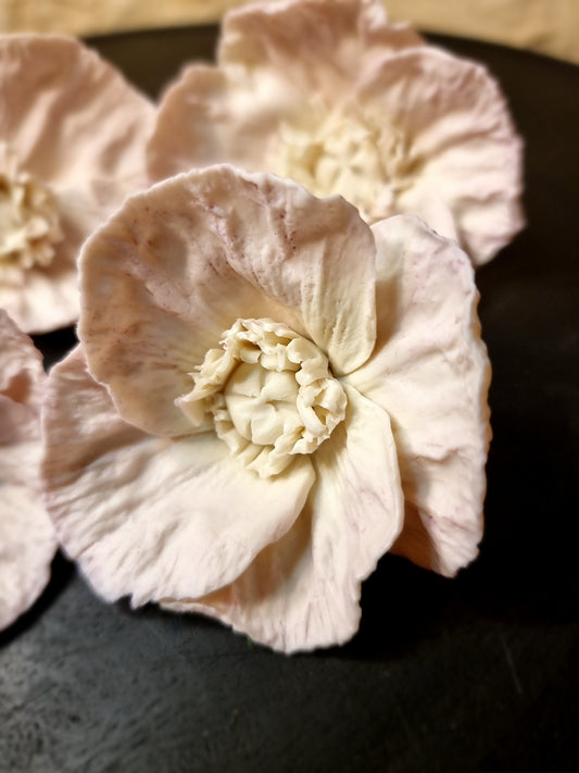 Fleur porcelaine 064