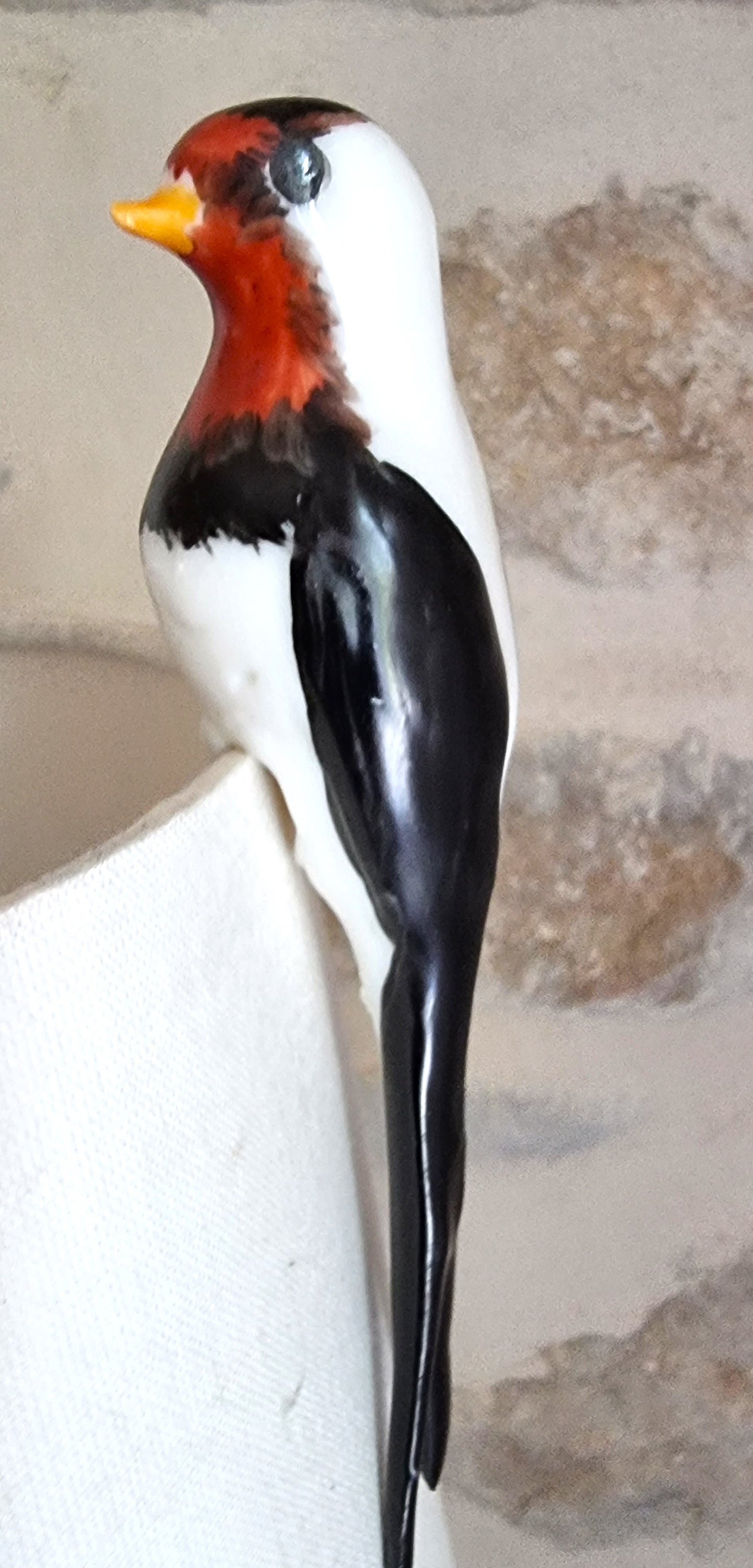 Bird 001