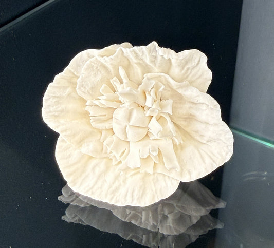 Fleur porcelaine 075