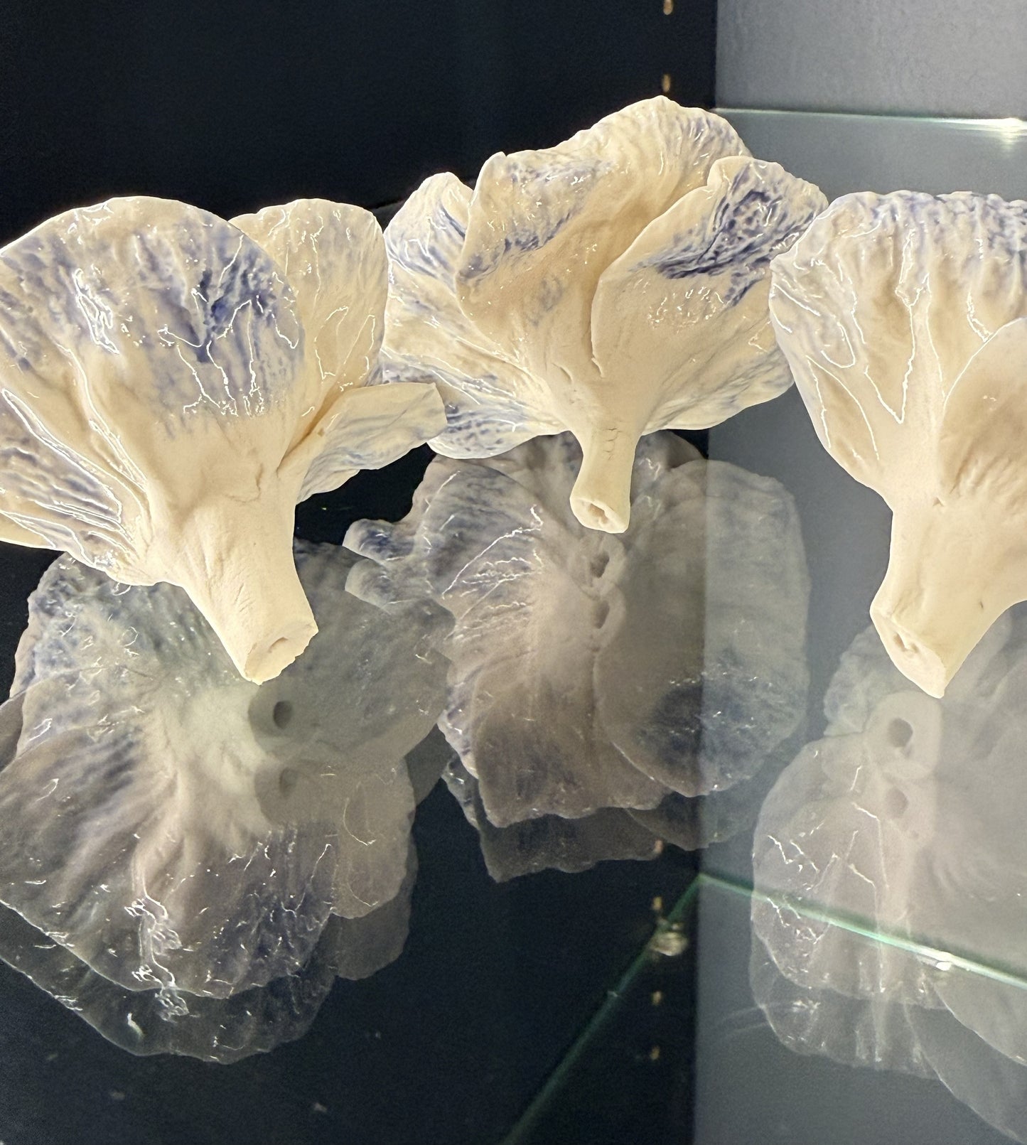 Fleur porcelaine 076
