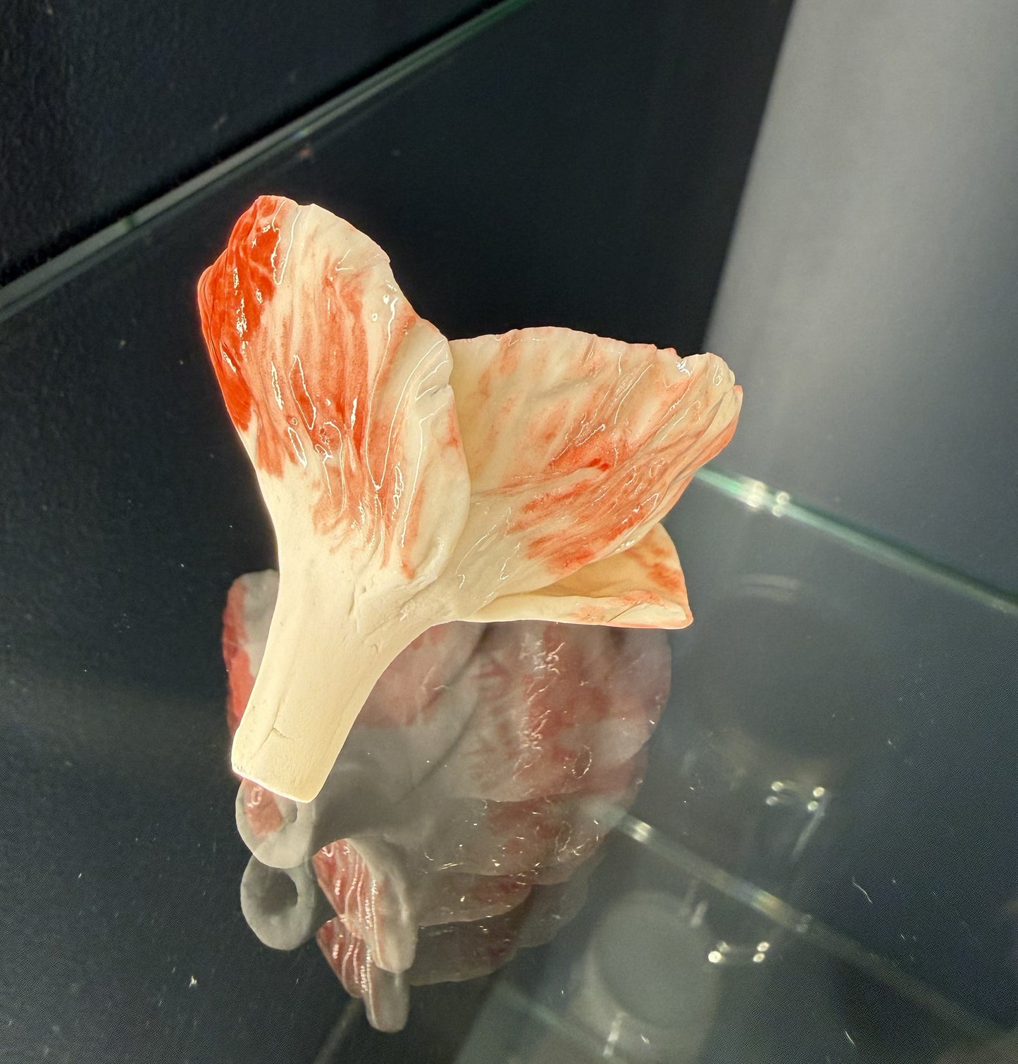 Fleur porcelaine 081