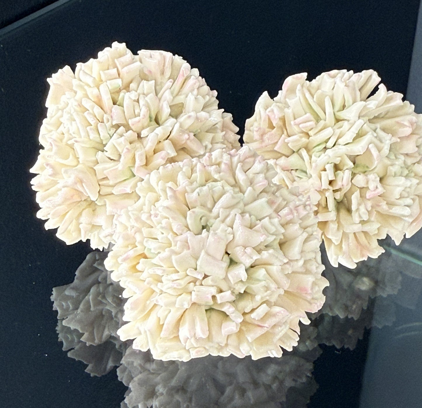 Fleur porcelaine 074