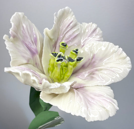 Tige de tulipe perroquet en porcelaine émaillée rose pâle, TPO-316-1-0-T