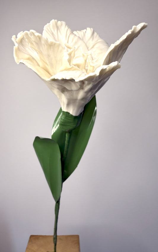 Tige de tulipe perroquet en porcelaine émaillée blanche, TPO-000-1-0-T