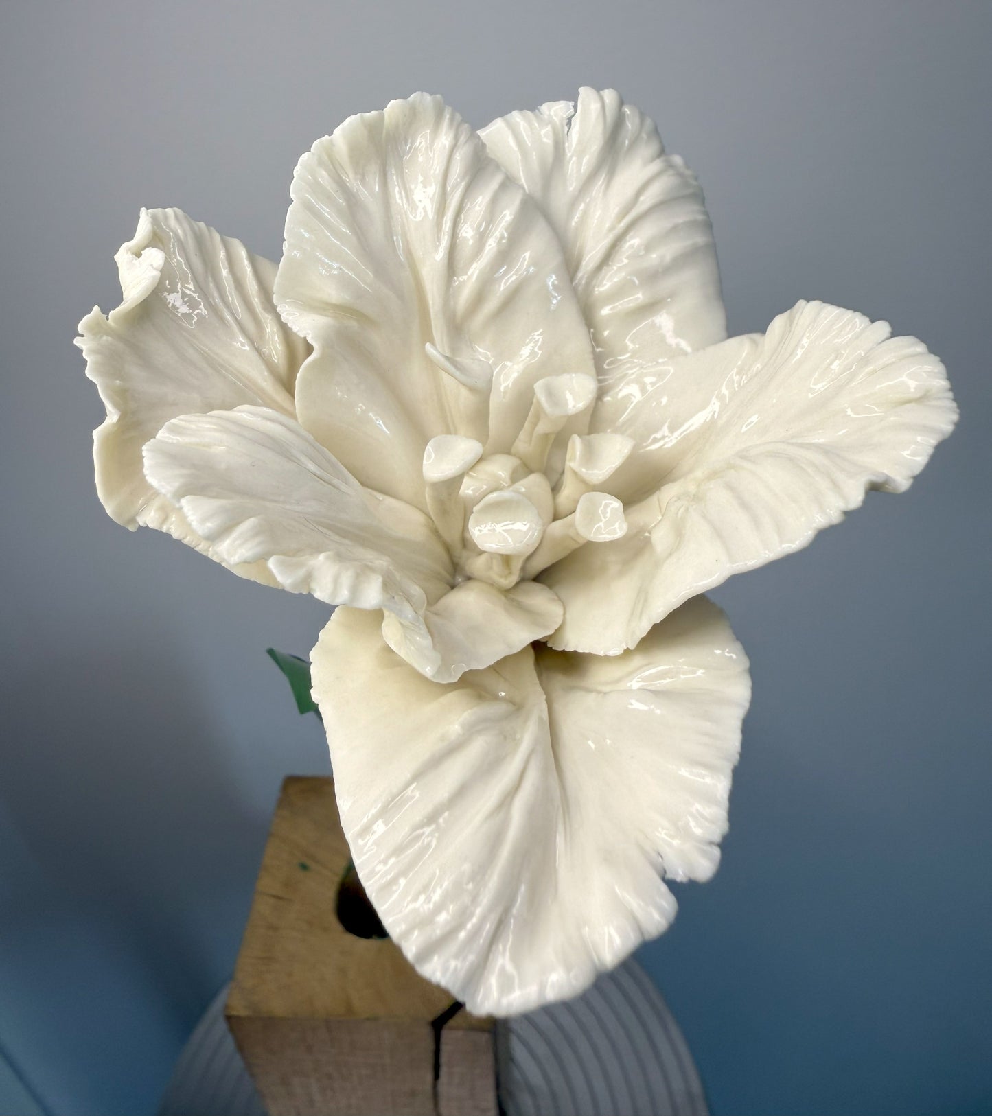 White glazed porcelain parrot tulip stem, TPO-000-1-0-T