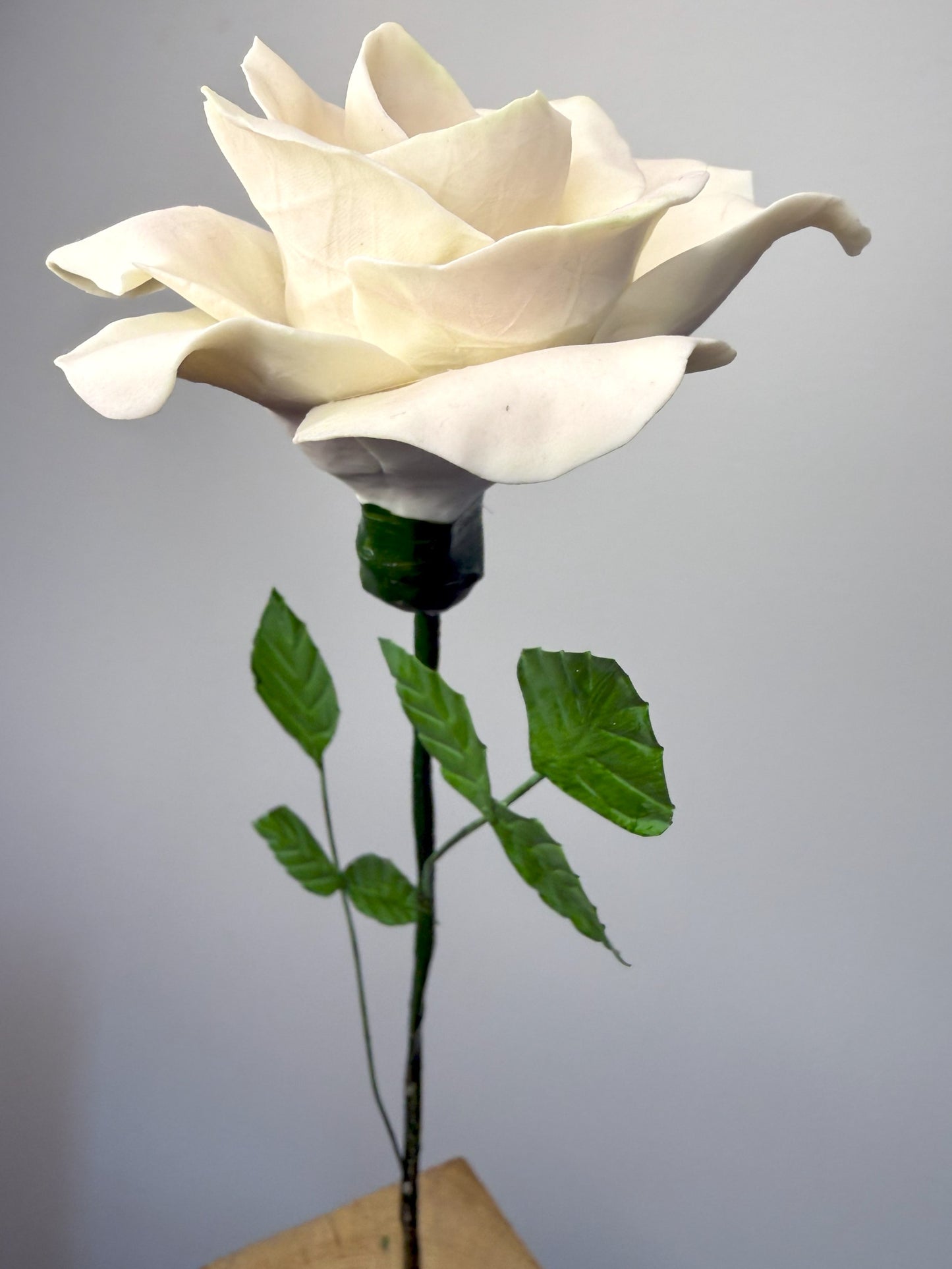 Tige de grande rose en biscuit de porcelaine rose, GRO-37/66-0-1-T