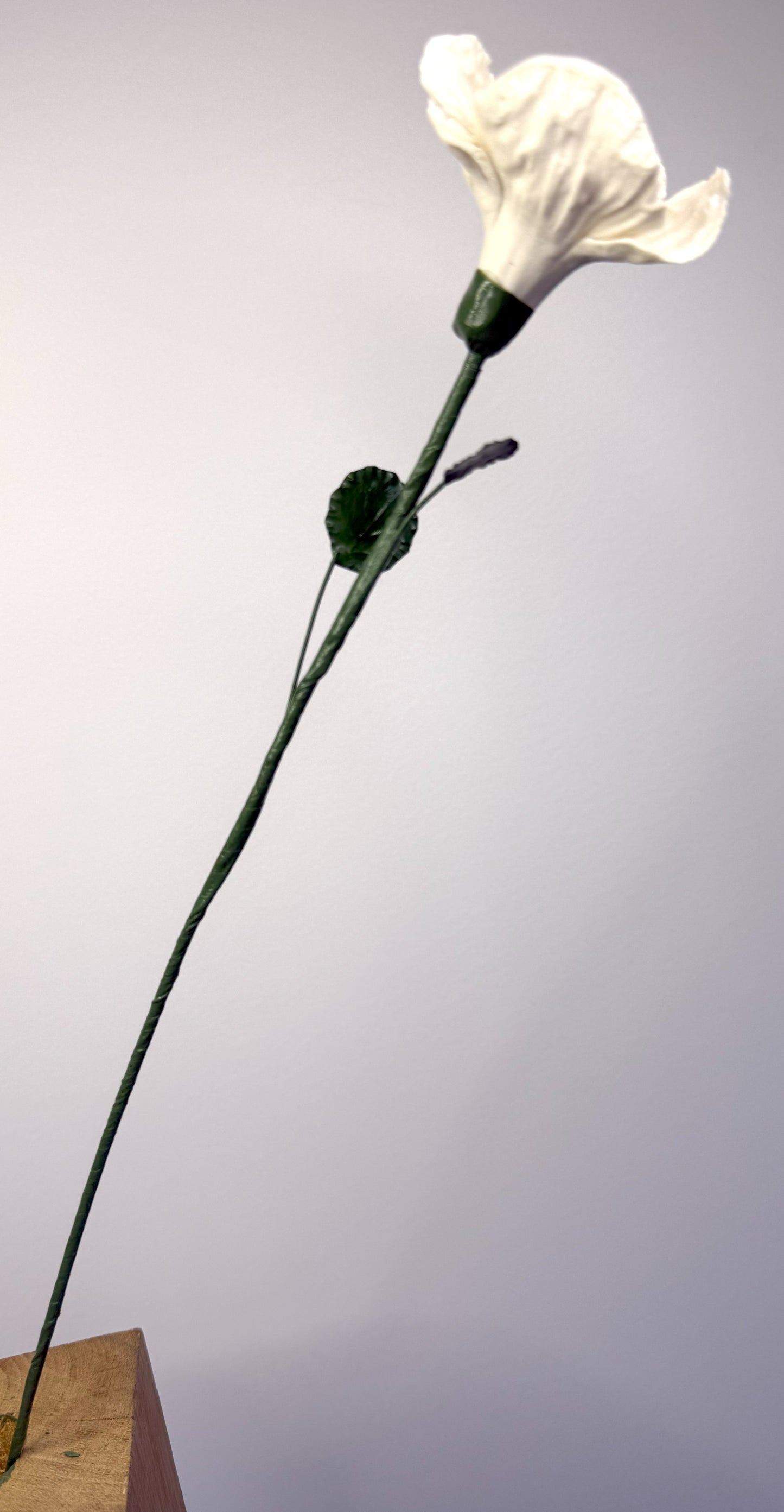 Small poppy stem in white porcelain bisque, PP-000-0-1-T