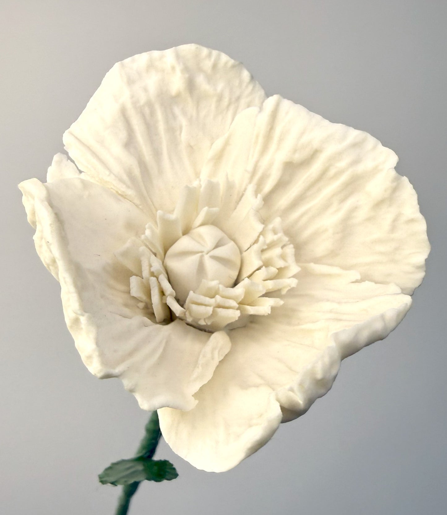 Small poppy stem in white porcelain bisque, PP-000-0-1-T