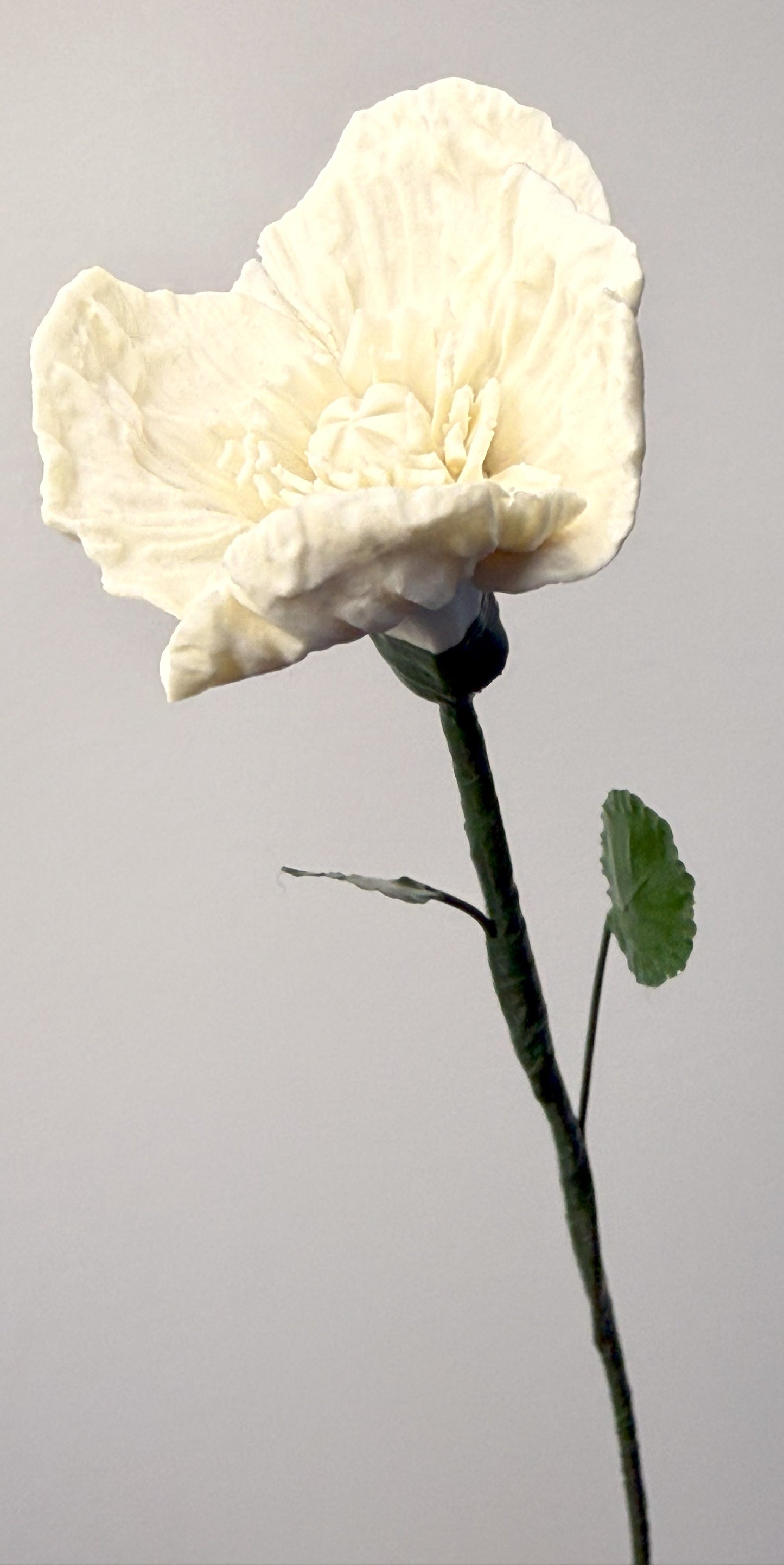 Small poppy stem in white porcelain bisque, PP-000-0-1-T