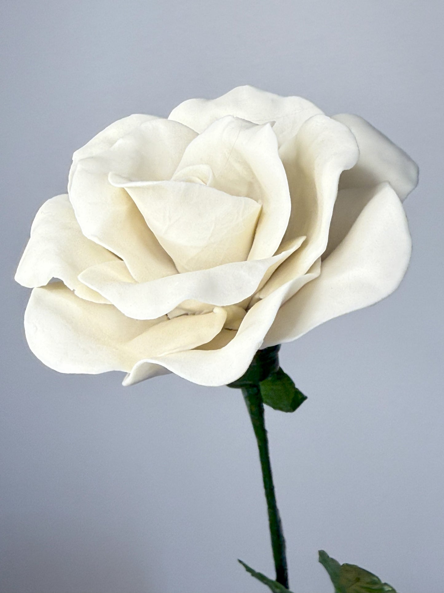 Tige de grande rose en biscuit de porcelaine blanche, GRO-000-0-1-T