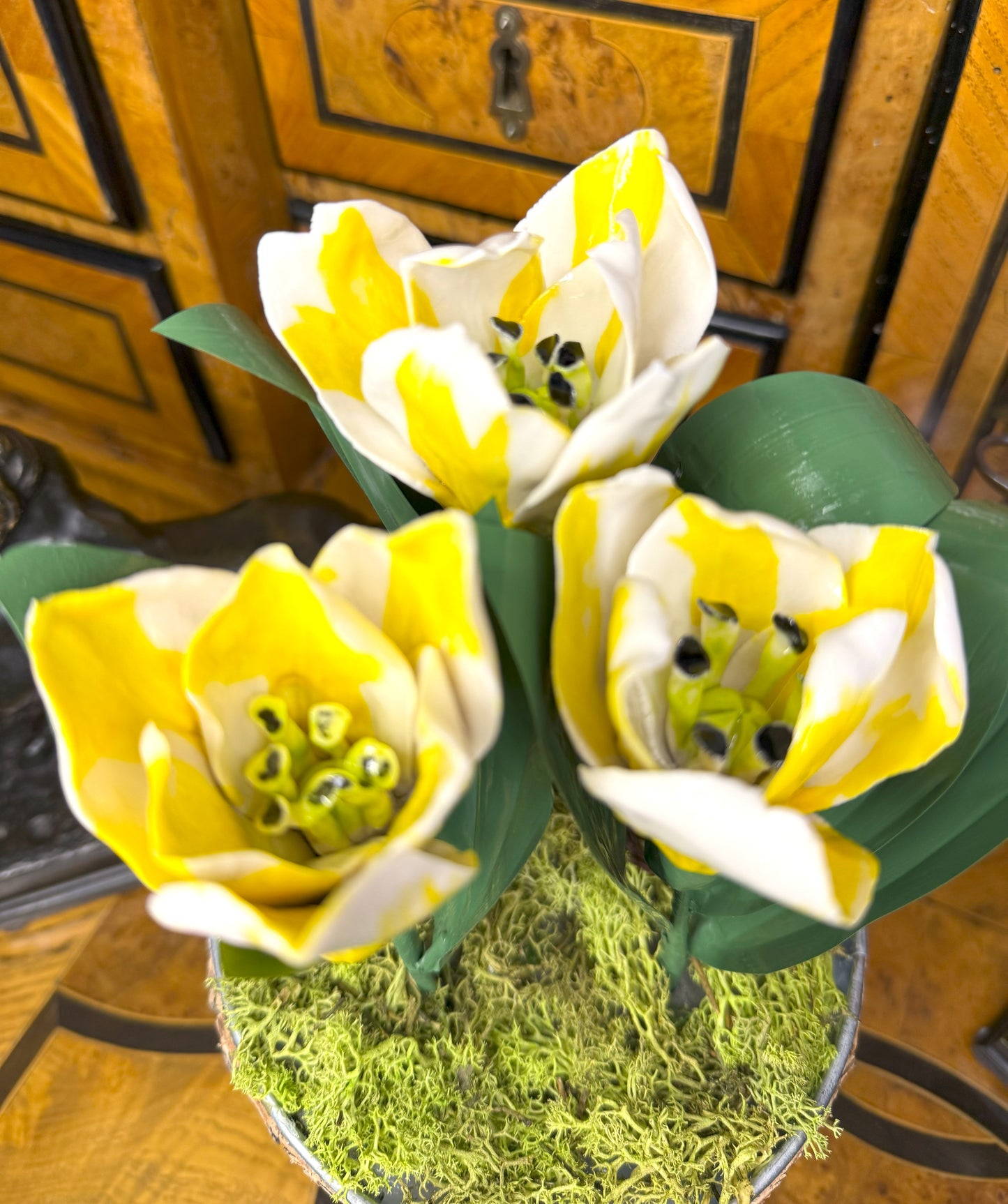 Composition COMPO-3-TUL