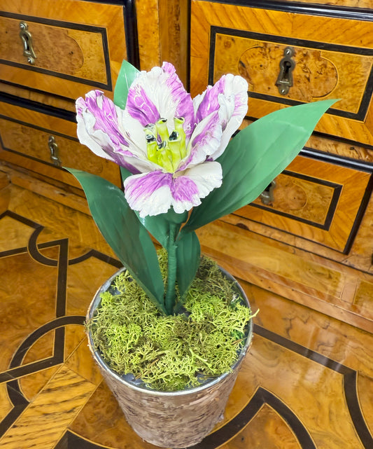 Composition COMPO-1-TPO