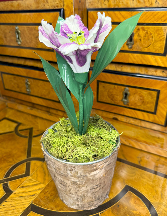 Composition COMPO-1-TPO