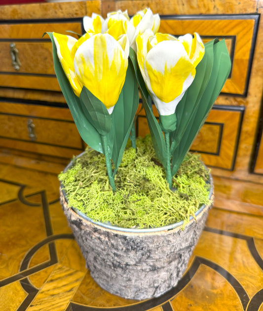 Composition COMPO-3-TUL