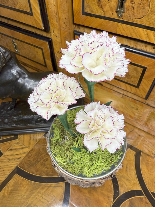 Composition COMPO-3-OE