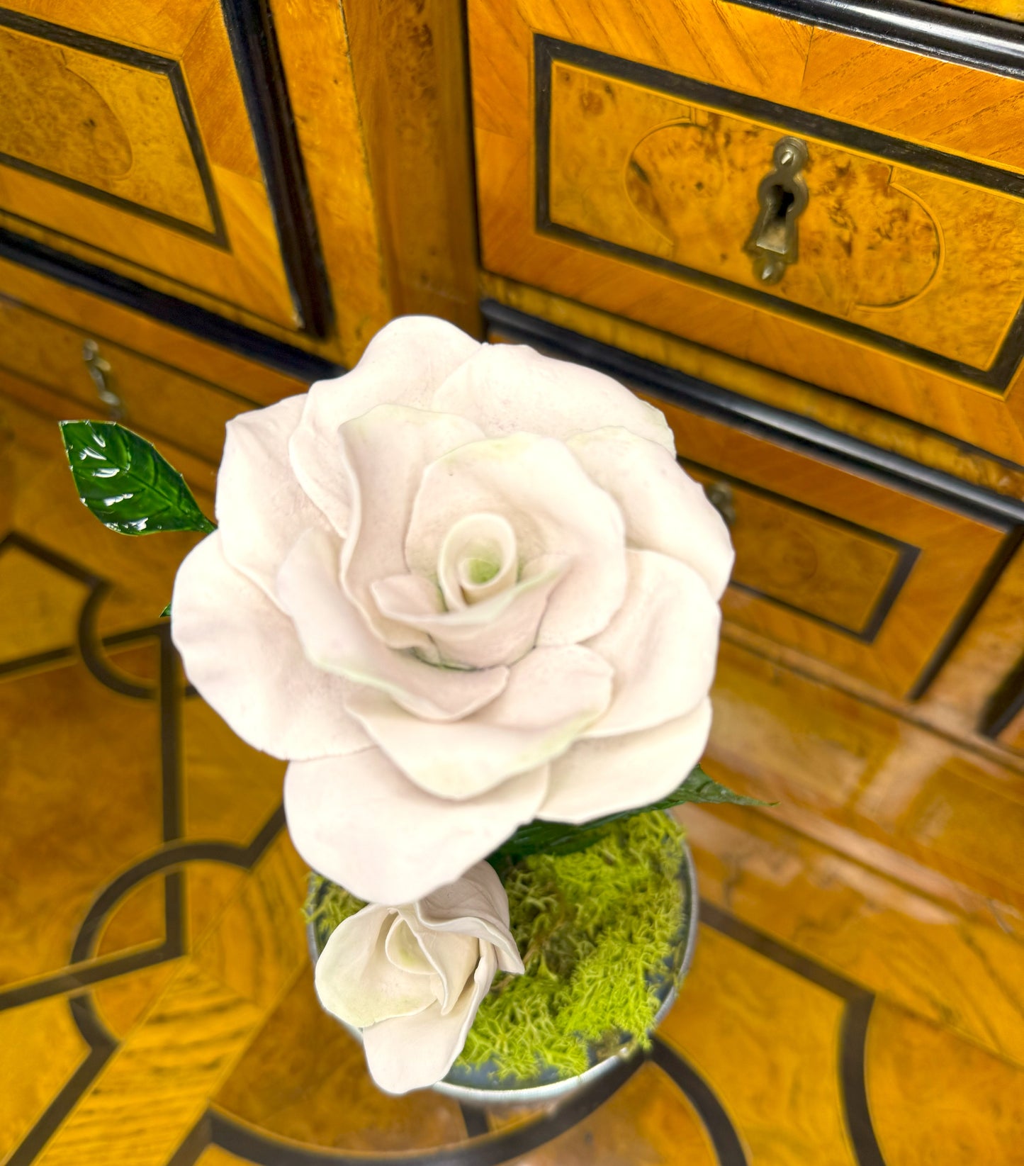 Composition COMPO-1-GRO-1-PRO