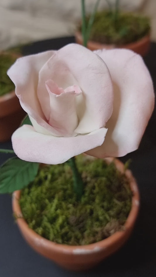 Fleur porcelaine 044