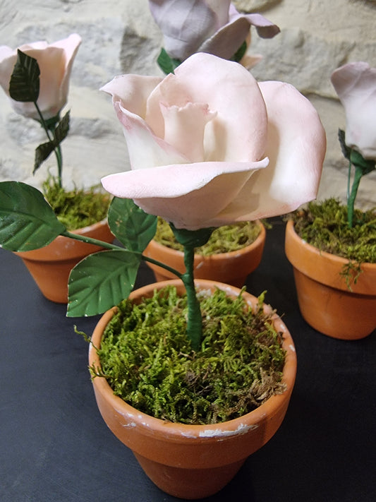 Fleur porcelaine 044